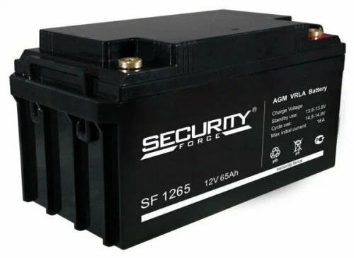 SF 1265 Security Force